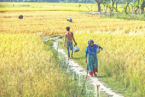 বাড়ির পাশে সুপেয় পানির উৎস নেই। তাই দূর থেকে পানি আনছেন স্থানীয় নারী-পুরুষেরা। গত ৭ ডিসেম্বর পটুয়াখালীর রাঙ্গাবালীর মৌডুবী এলাকায়