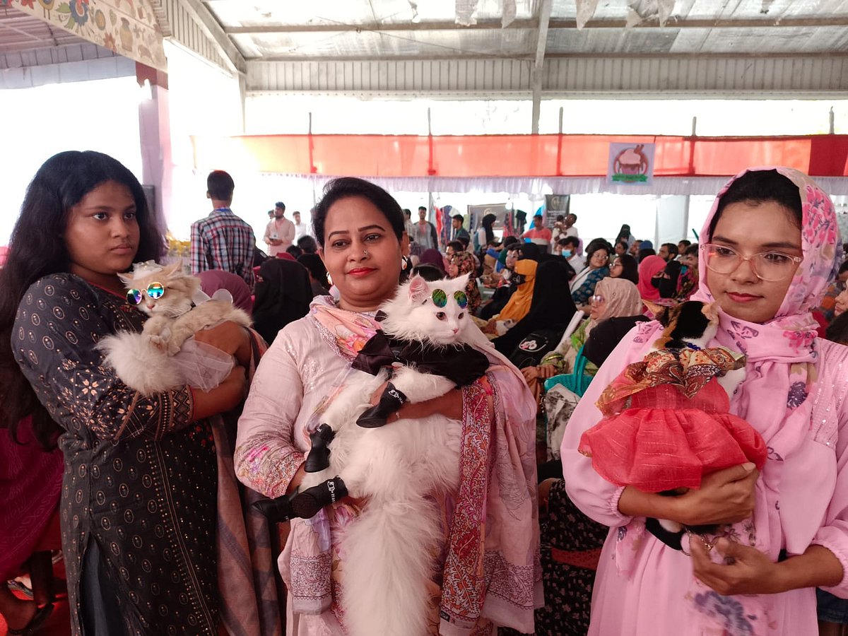 ময়মনসিংহ নগরের জয়নুল আবেদিন উদ্যানের বৈশাখী মঞ্চে আয়োজন করা হয় ক্যাট শো। এটি নগরের বিড়াল প্রেমিদের মিলনমেলায় পরিণত হয়। শনিবার দুপুরে