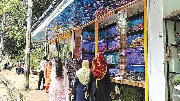 সৌন্দর্যবর্ধনের অংশ হিসেবে ফুটপাতের অর্ধেক দখল করে চট্টগ্রাম নগরের জামালখানে নির্মাণ করা একটি অ্যাকুয়ারিয়াম বিক্রির দোকান