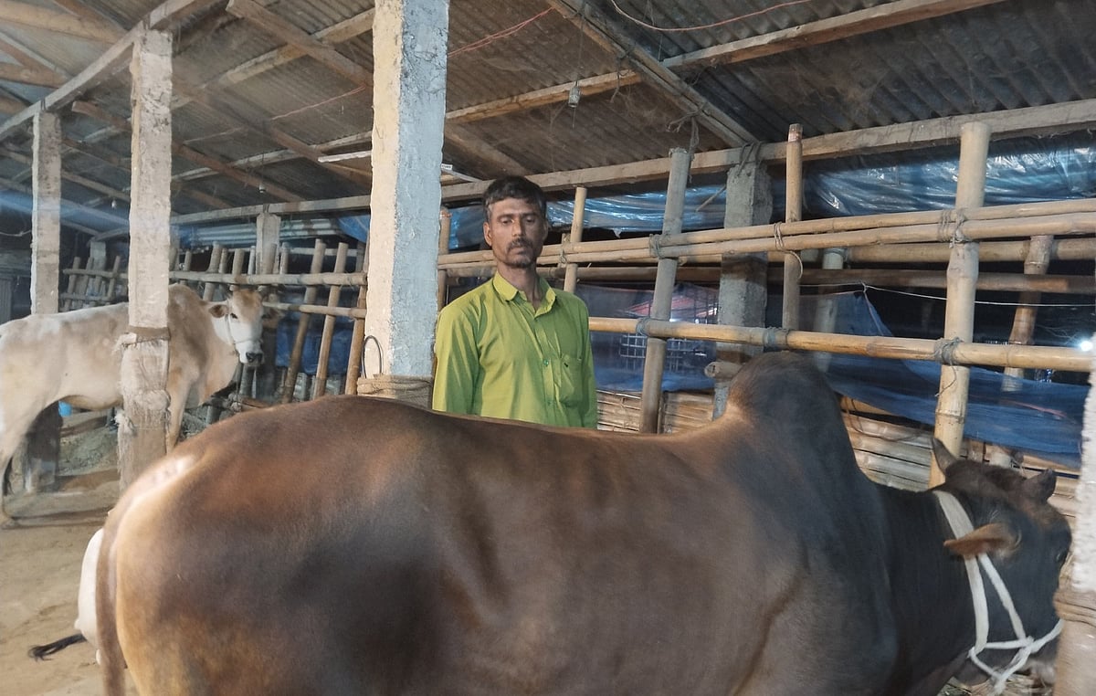 সিলেটের জৈন্তাপুরের চিকনাগুল বাজারের গরু ব্যবসায়ী মো. ইলিয়াস