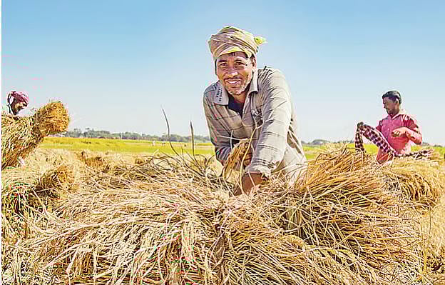 আমাদের গ্রামীণ অর্থনীতি মূলত কৃষিনির্ভর।