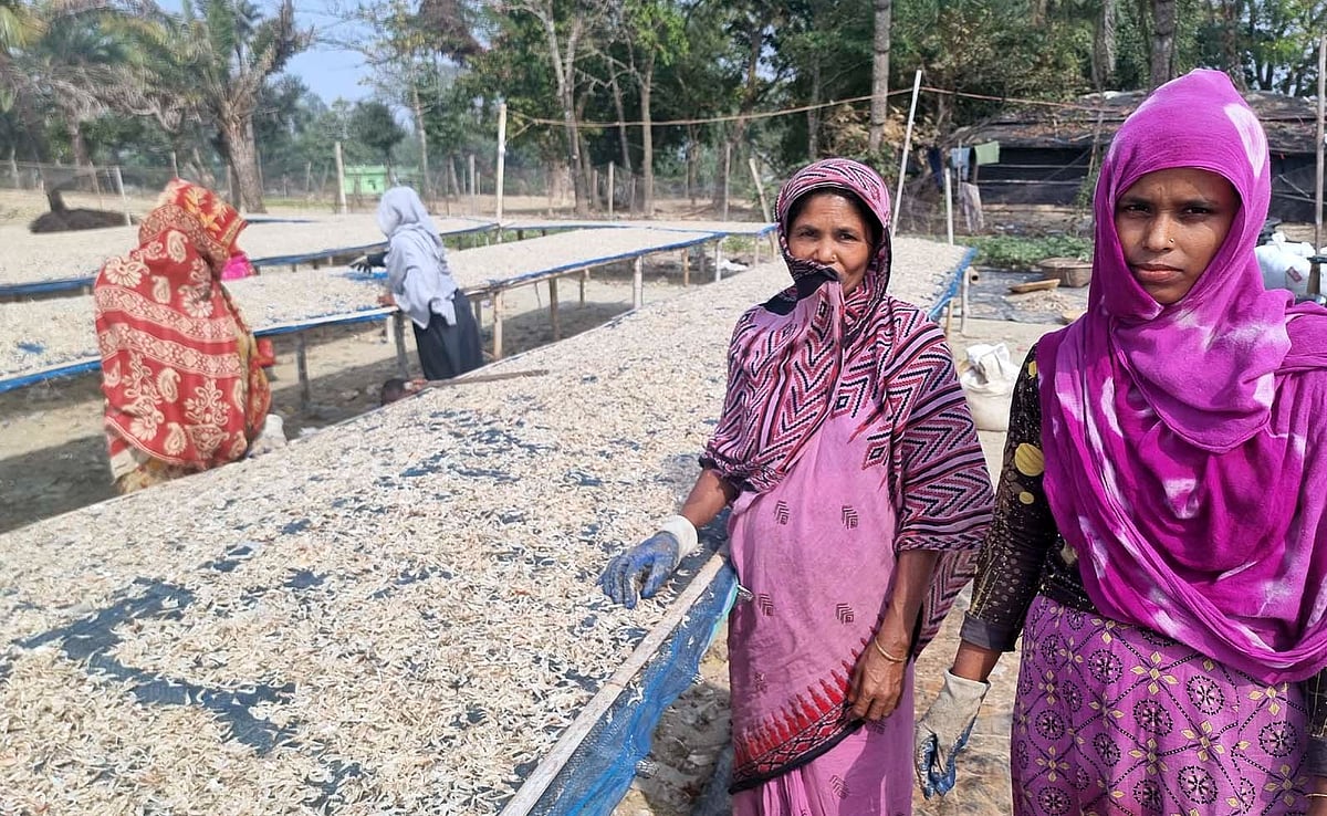 কুতুবদিয়ার পশ্চিম সৈকতের একটি শুঁটকিমহালে কয়েকজন নারী শ্রমিক