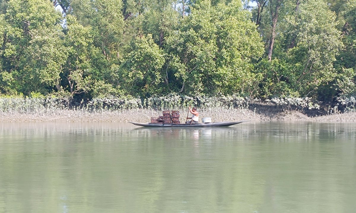 সুন্দরবন থেকে কাঁকড়া শিকার করে লোকালয়ে ফিরেছেন এক জেলে। গতকাল সোমবার কয়রার সুন্দরবন–সংলগ্ন দক্ষিণ বেদকাশী এলাকার শাকবাড়িয়া নদীর তীরে।