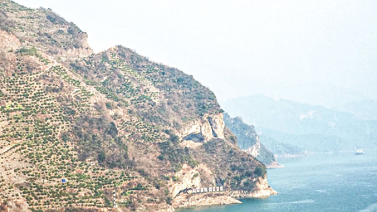 গুও শিংসানের ক্যামেরায় ‘কুকুরছানা পাহাড়’