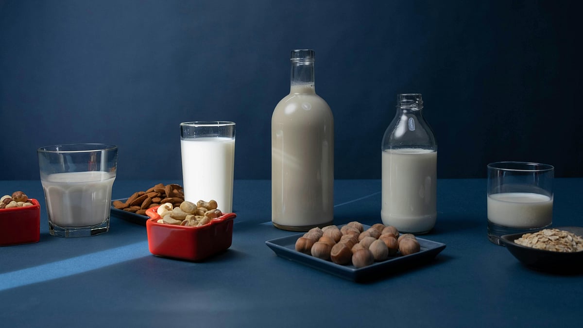 নানা কারণেই বিকল্প হিসেবে উদ্ভিজ্জ দুধ গ্রহণ করেন অনেকে