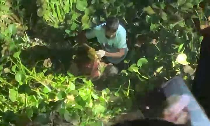 মুন্সিগঞ্জের সিরাজদিখান উপজেলার একটি পুকুরের কচুরিপানার নিচ থেকে উদ্ধার করা হয় শিশুটির মরদেহ। গতকাল গভীর রাতে