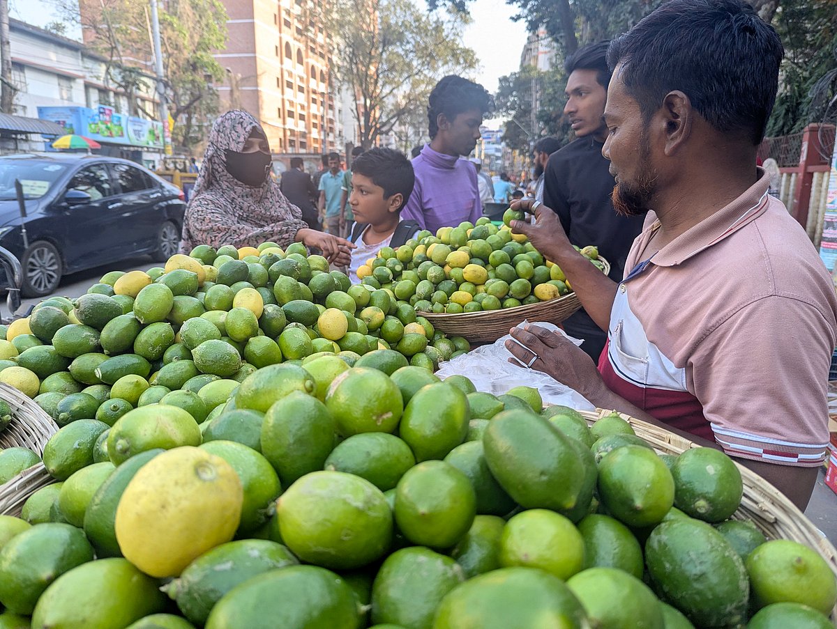 খুচরা বাজারে বগুড়ায় প্রতি হালি লেবু ৬০ থেকে ৮০ টাকায় বিক্রি হচ্ছে। আজ সোমবার বিকেলে বগুড়া সার্কিট হাউসের সামনের সড়কে