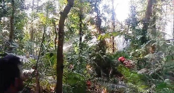 শালবনে আগুন নিয়ন্ত্রনে কাজ করছেন ফায়ার সার্ভিস ও সিভিল ডিফেন্সের সদস্যরা। আজ সোমবার দুপুরে দিনাজপুরের বীরগঞ্জ উপজেলায় সিংড়া জাতীয় উদ্যানে