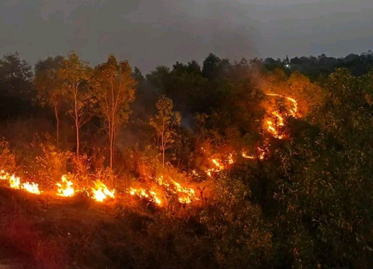 সিলেটের এমসি কলেজের টিলায় হঠাৎ আগুন লাগার ঘটনা ঘটে। বুধবার সন্ধ্যায়