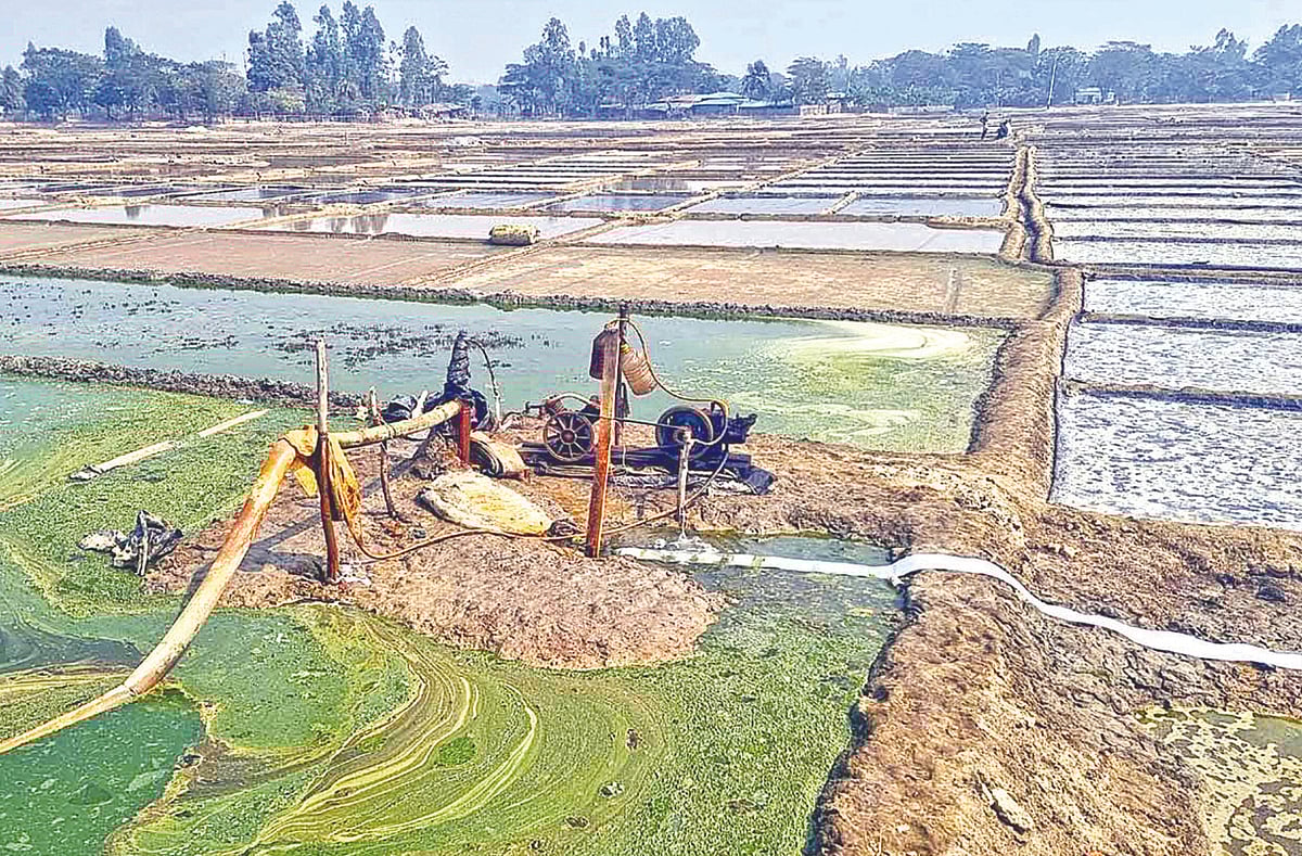 শ্যালোইঞ্জিনের সাহায্যে ভূগর্ভস্থ লোনা পানি তোলে মাঠের পর মাঠে পাইপ দিয়ে ছড়িয়ে দেওয়া হয়। সম্প্রতি কক্সবাজারের কুতুবদিয়ার বড়ঘোপ এলাকায়