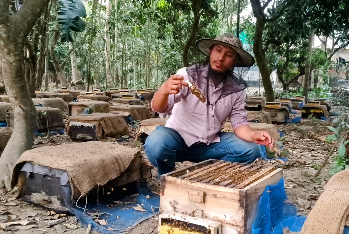 লিচুগাছের নিচে বাক্স বসিয়ে মধু আহরণ করছেন খামারিরা। রোববার কিশোরগঞ্জের পাকুন্দিয়া উপজেলার মঙ্গলবাড়িয়া গ্রামে