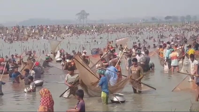 পলো, জাল, কোঁচ, টেঁটাসহ নানা উপকরণ নিয়ে বিলে অবৈধভাবে মাছ ধরতে নেমেছেন হাজারো মানুষ। সম্প্রতি সুনামগঞ্জের দিরাই উপজেলার বেতইর বিলে