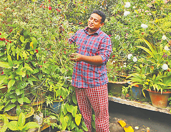 গাছের পরিচর্যায় ব্যস্ত আবু মোহাম্মদ নাঈম