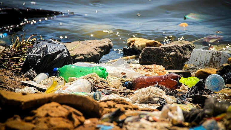 লিমিটিং ফ্যাক্টর নামের একটি সাবমেরিন গভীর সমুদ্রে ছবি তোলে