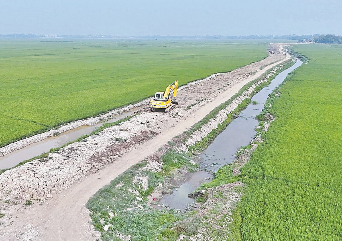 সুনামগঞ্জের শান্তিগঞ্জের সাংহাই হাওরে ফসলি জমির ওপর দিয়ে নির্মাণ করা হচ্ছে সড়ক। গত বৃহস্পতিবার তোলা