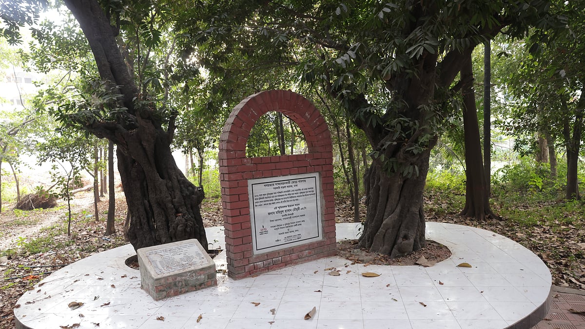 শহীদের রক্তমাখা গাবগাছ