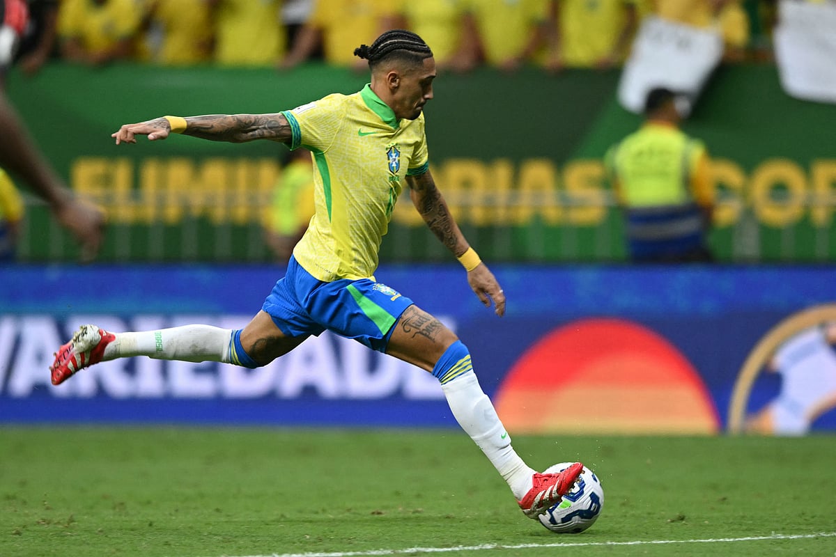 রাফিনিয়া