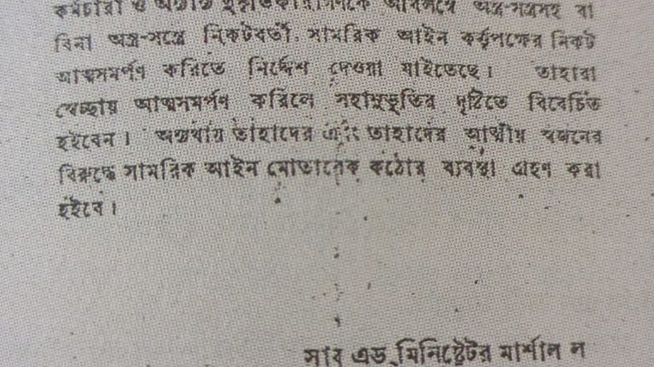 Juda shahvoniy mushukni tomosha qiling