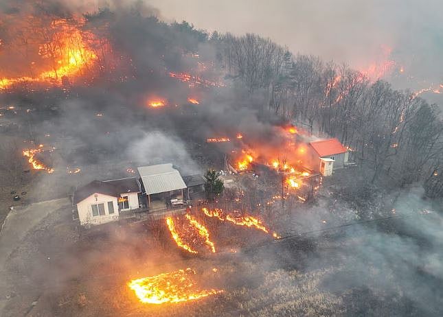 দক্ষিণ কোরিয়ায় ভয়াবহ দাবানলে জ্বলছে বিস্তীর্ণ এলাকা