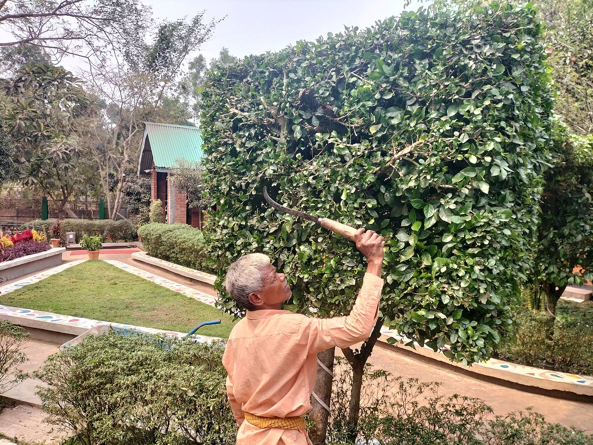 ঈদকে কেন্দ্র করে পর্যটক বরণে হোটেল–রিসোর্টগুলোতে চলছে শেষ মুহূর্তের কাজ। শুক্রবার মৌলভীবাজারের শ্রীমঙ্গলের রাধানগর এলাকায়
