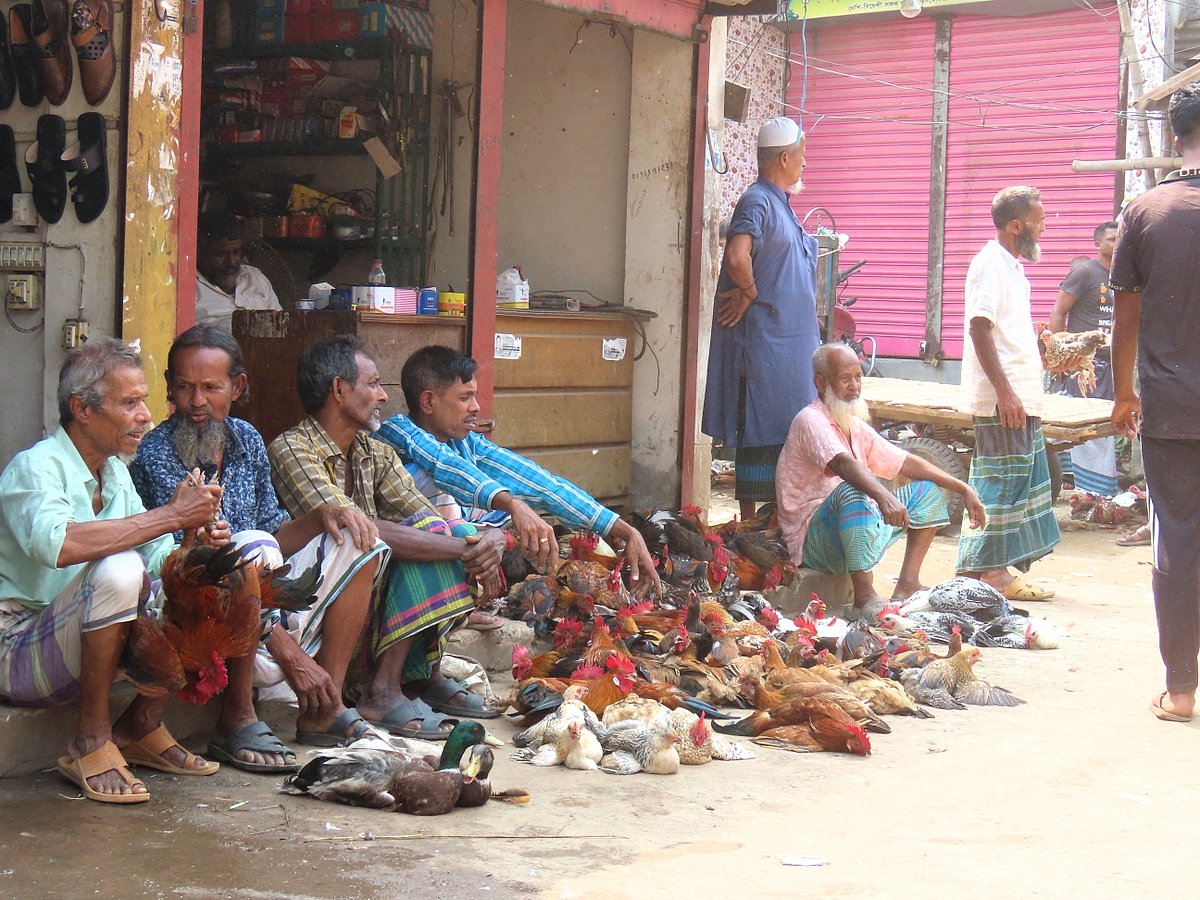 গাজীপুরের শ্রীপুর উপজেলার বরমী বাজারে কয়েকটি সারিতে দেশি মুরগি বিক্রি করতে বসেন শতাধিক বিক্রেতা