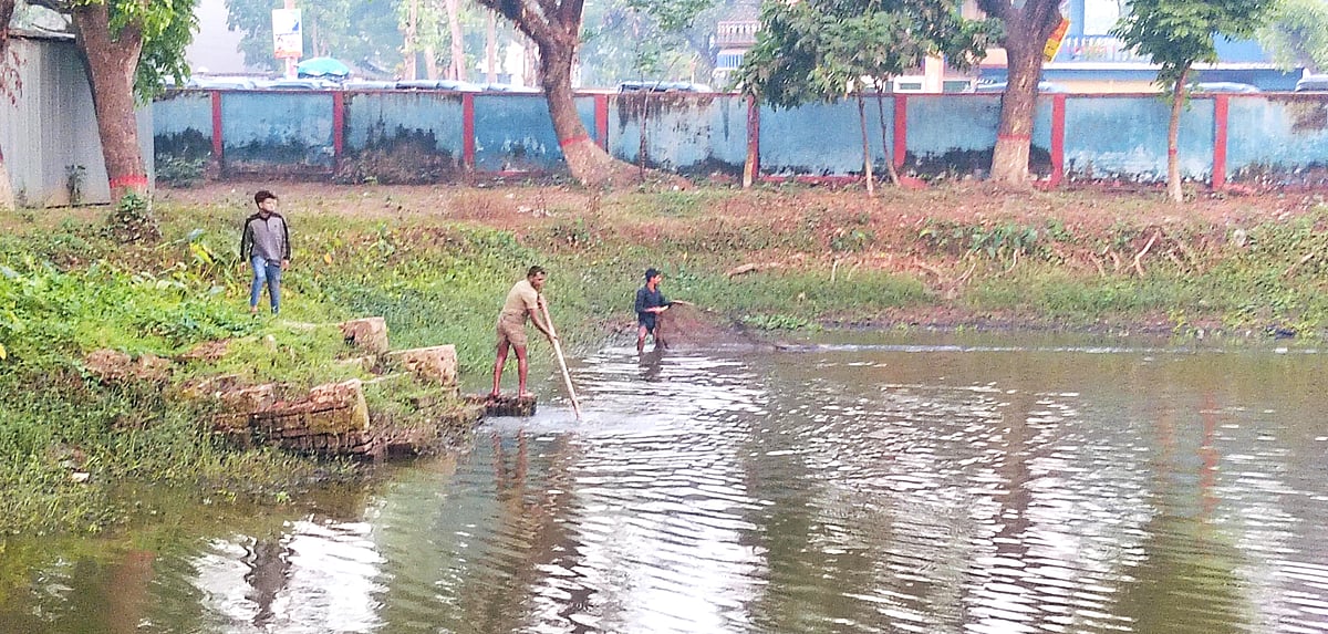 সরকারি পুকুরে অবৈধভাবে জাল ফেলে মাছ ধরা হচ্ছে। আজ শনিবার সকালে জামালপুর শহরের ফুলবাড়িয়া এলাকায় পানি উন্নয়ন বোর্ডের কার্যালয় প্রাঙ্গণে