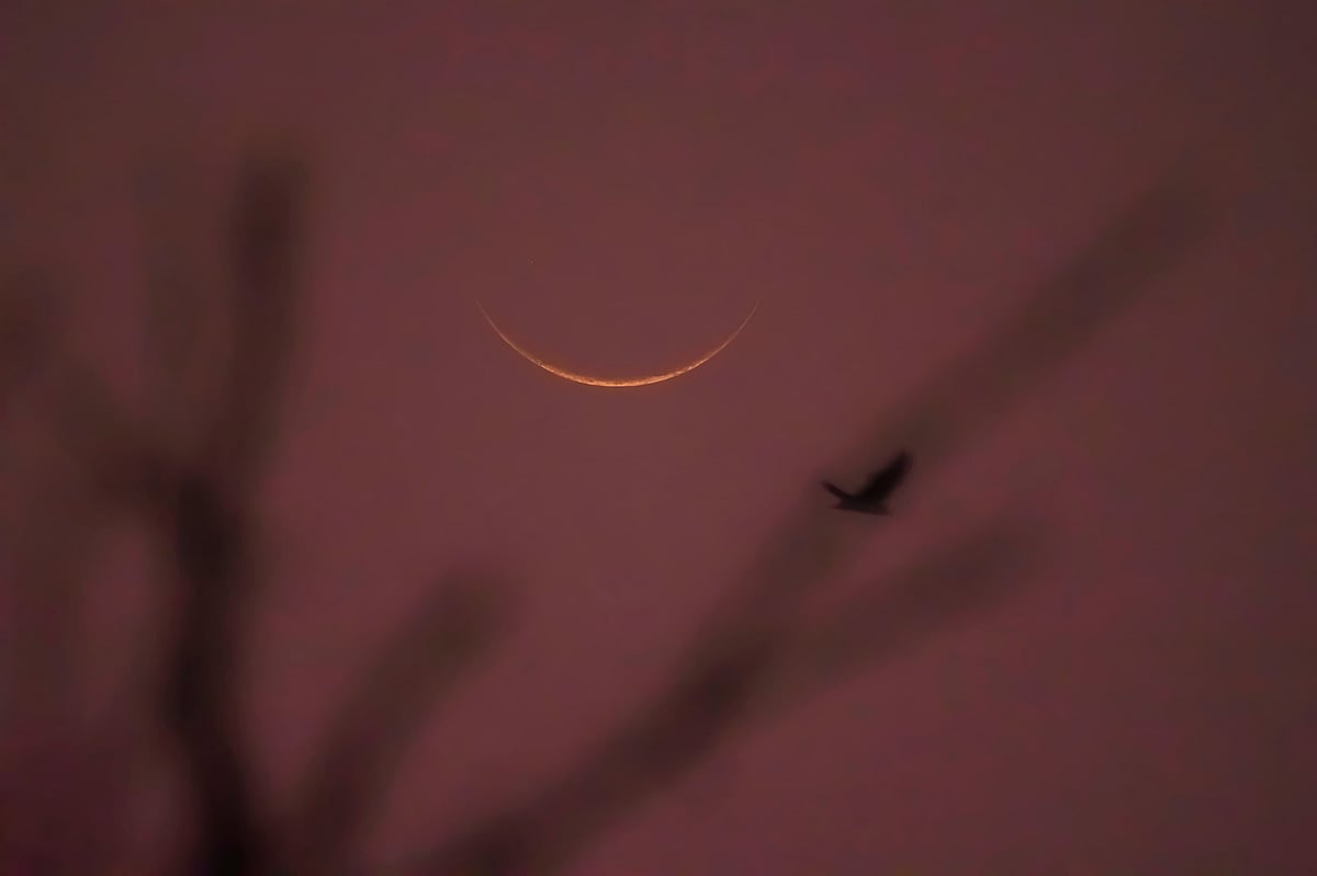 বাংলাদেশের আকাশে আজ রোববার ১৪৪৬ হিজরি সনের পবিত্র শাওয়াল মাসের চাঁদ দেখা গেছে। আগামীকাল সোমবার সারা দেশে পবিত্র ঈদুল ফিতর উদ্‌যাপিত হবে। স্কুলপাড়া, ঈশ্বরদী, পাবনা, ৩০ মার্চ