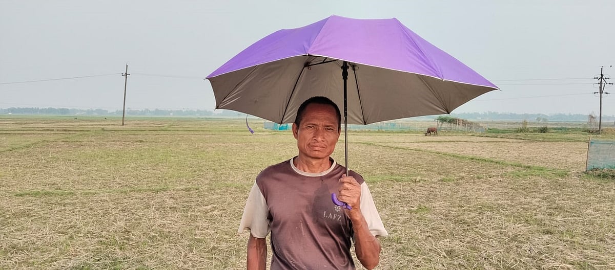 সিলেটের জৈন্তাপুরের হাওরে গরু চরান জহের পাত্র