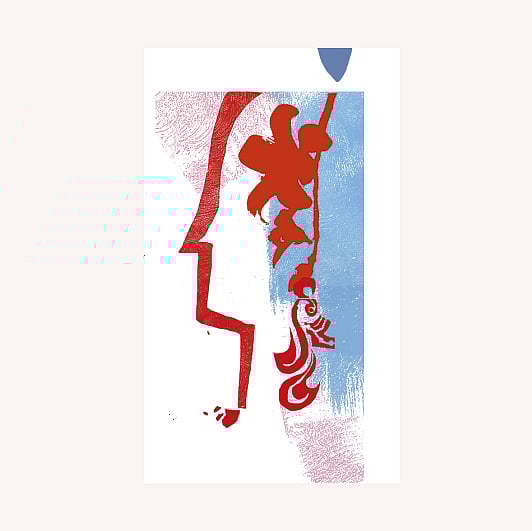 অলংকরণ: এস এম রাকিবুর