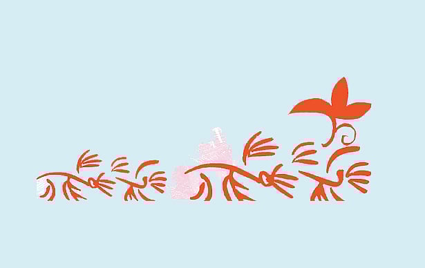 অলংকরণ: এস এম রাকিবুর