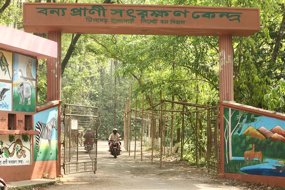 সিলেট নগরের টিলাগড় এলাকার বন্য প্রাণী সংরক্ষণ কেন্দ্রের প্রবেশমুখে বৈশাখী মেলার জন্য বাঁশ দিয়ে স্টলের কাঠামো করা হয়েছিল। খবর প্রকাশিত হওয়ার পর সেই আয়োজন বন্ধ করা হয়েছে