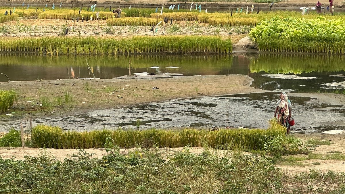 কক্সবাজারের চকরিয়ায় মাতামুহুরী নদী থেকে অপরিকল্পিত বালু উত্তোলনের ফলে চরে অসংখ্য ছোট-বড় গর্তের সৃষ্টি হয়। নদীর এই গর্তে আটকে দুই শিশুর প্রাণ গেছে। আজ বিকেল চারটার দিকে উপজেলার কাকারা ইউনিয়নের মাঝের ফাঁড়ি সেতু সংলগ্ন এলাকায়