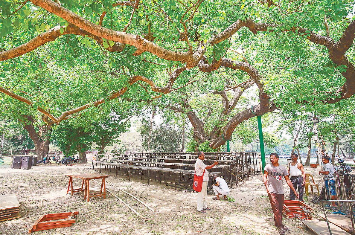 রমনার বটমূলে ছায়ানটের বর্ষবরণ আয়োজনের প্রস্তুতি ও মঞ্চ নির্মাণের কাজ চলছে