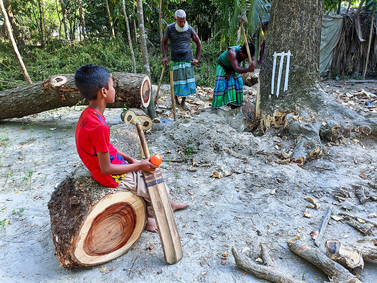 ছবি উইজডেন–এর বর্ষসেরা ছবির প্রতিযোগিতায় অপেশাদার শাখায় রানারআপ হয়েছে