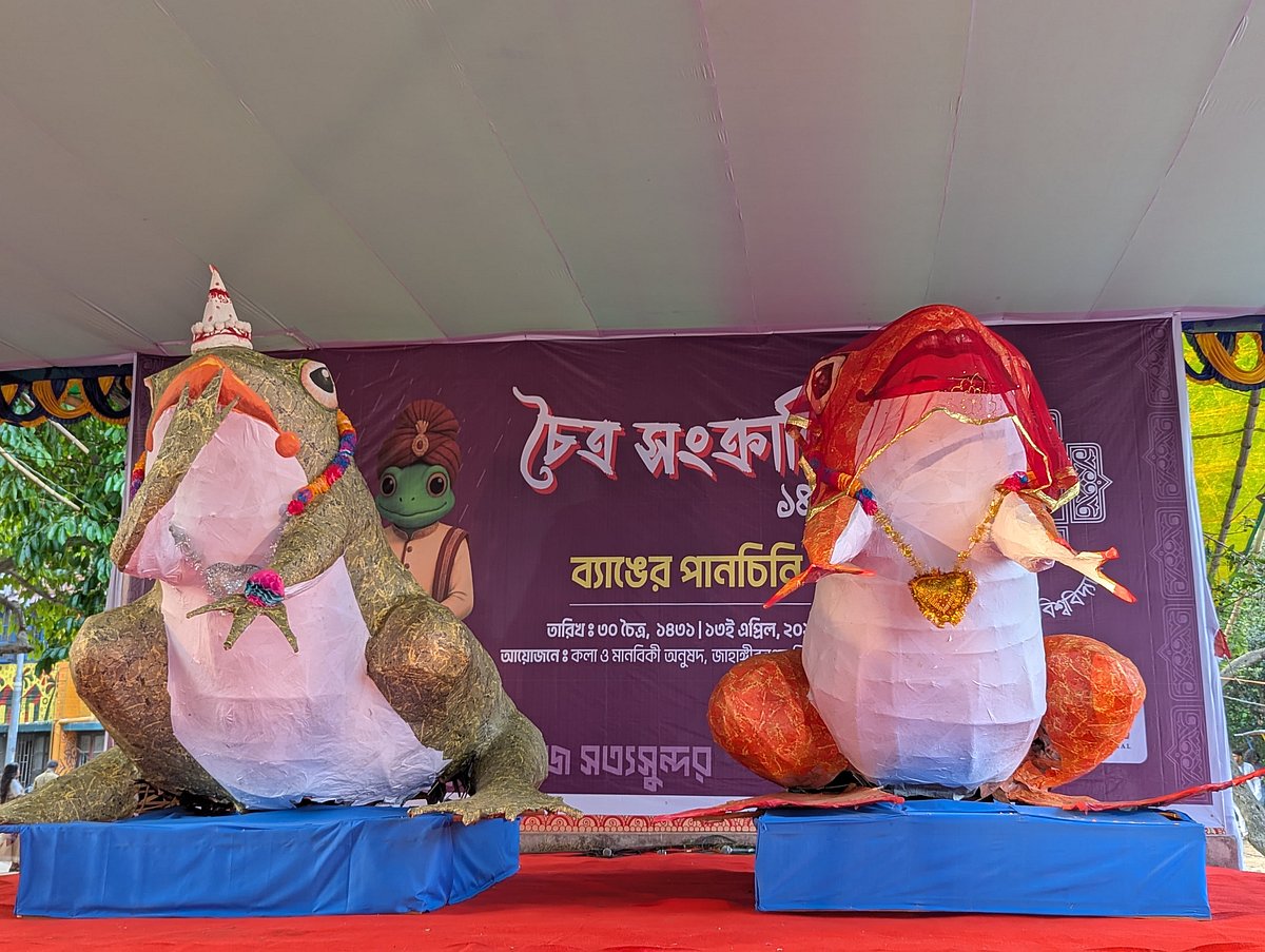 জাহাঙ্গীরনগর বিশ্ববিদ্যালয়ে চৈত্রসংক্রান্তি উদ্‌যাপন উপলক্ষে আয়োজিত ব্যাঙের পান-চিনি অনুষ্ঠানে বর-কনে