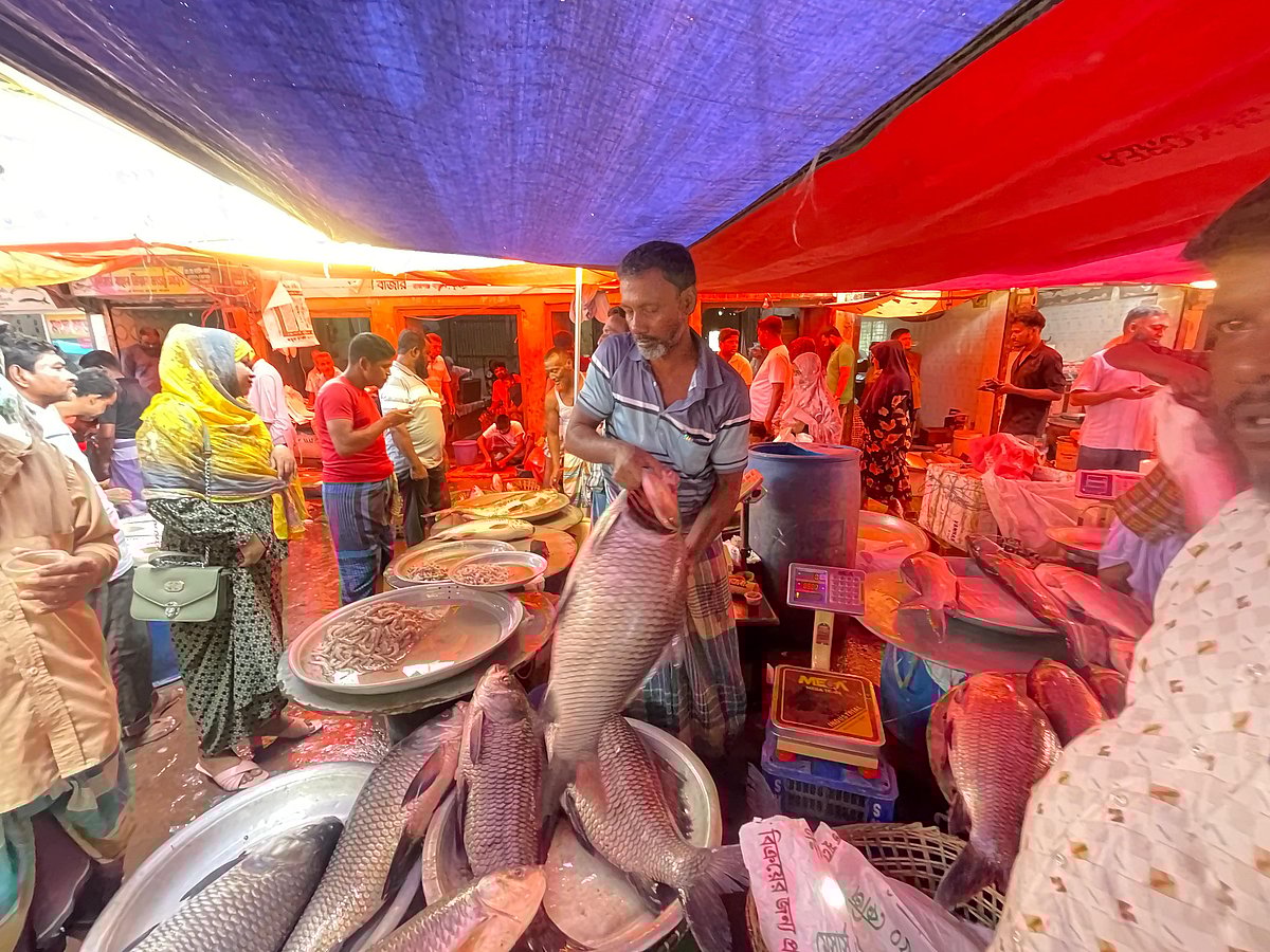 কুমিল্লার রাজগঞ্জ বাজার ও এর আশপাশের সড়কে বসেছে কাতলা মাছের মেলা। কাতলা মাছের মেলা হলেও অন্যান্য মাছও পাওয়া যাচ্ছে