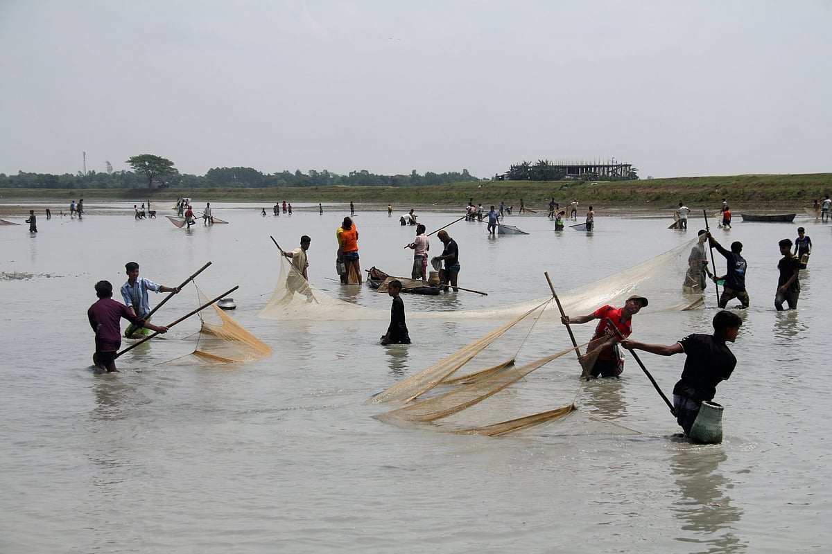 কিশোরগঞ্জের করিমগঞ্জের নলি বিলে মাছ ধরছে এলাকাবাসী। গত শুক্রবার