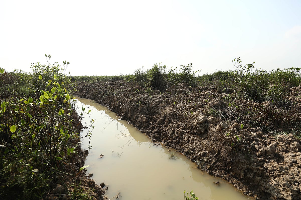 মূর্তাবাগানে পুকুর তৈরির উদ্দেশ্যে তৈরি করা হয়েছে অন্তত আধা কিলোমিটার দীর্ঘ নালা। সে নালায় ঢালা হয়েছে পানিও। ৯ এপ্রিল বিকেলে সিলেট সদর উপজেলার কেওয়াছড়া চা-বাগানে