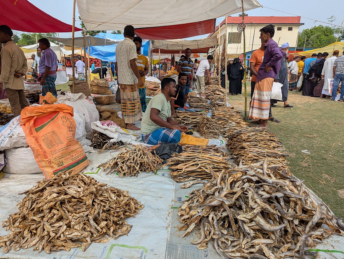 নাসিরনগরের এ মেলার ঐহিত্য দীর্ঘদিনের। মেলার প্রধান পণ্য শুঁটকি। বর্তমানে বাংলা সনের দ্বিতীয় দিনে এ মেলা শুরু হয়