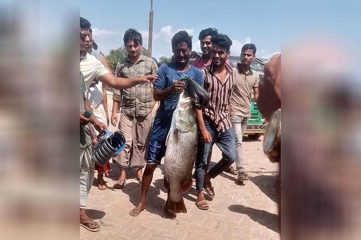 নাফ নদীতে বড়শিতে ধরা পড়া কোরাল মাছ