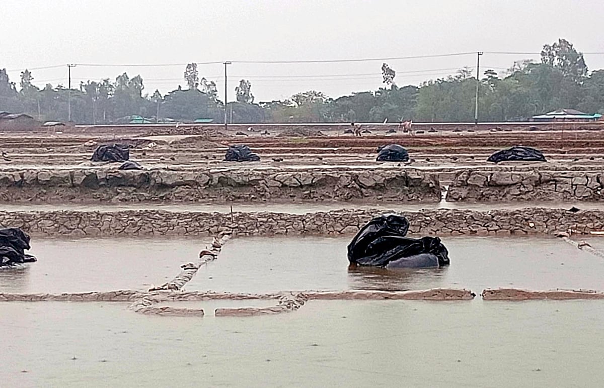 কক্সবাজারের সাগরদ্বীপ কুতুবদিয়া উপজেলার ধুরুংবাজার–সংলগ্ন কৈলারপাড়ায় বৃষ্টির পানিতে ডুবে আছে কয়েক শ একরের লবণমাঠ। আজ দুপুরে তোলা