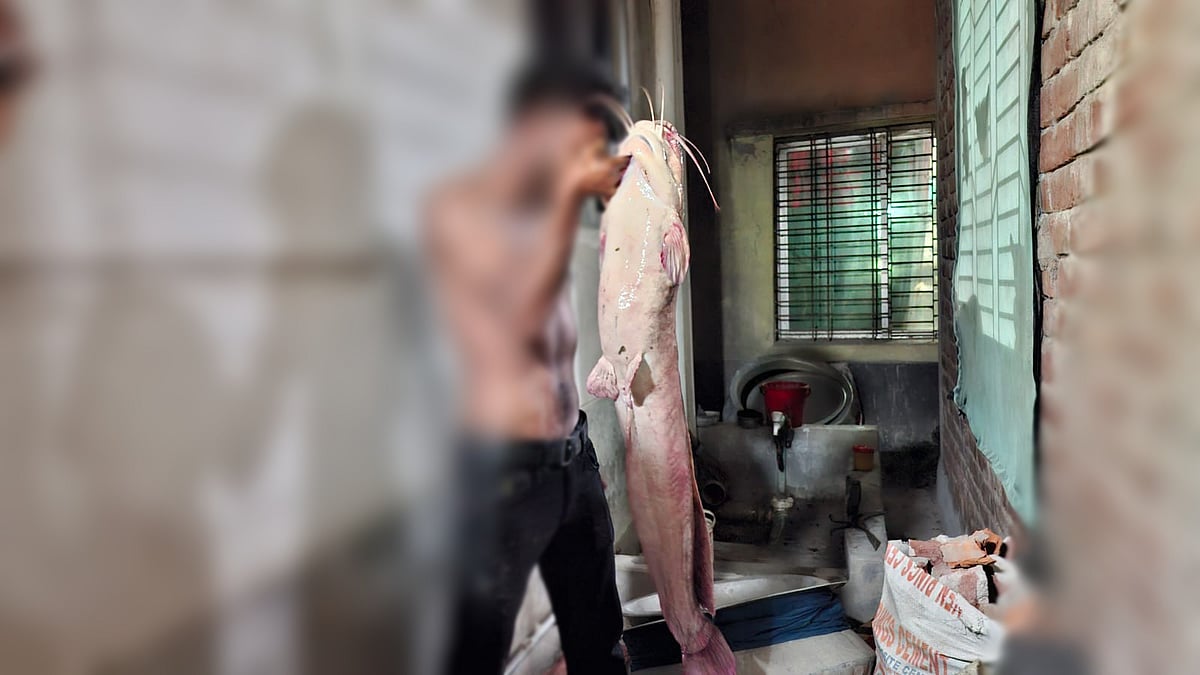 ১০ কেজি ওজনের মাগুর মাছ ধরেছেন গ্যারেজের কর্মচারী স্বাধীন