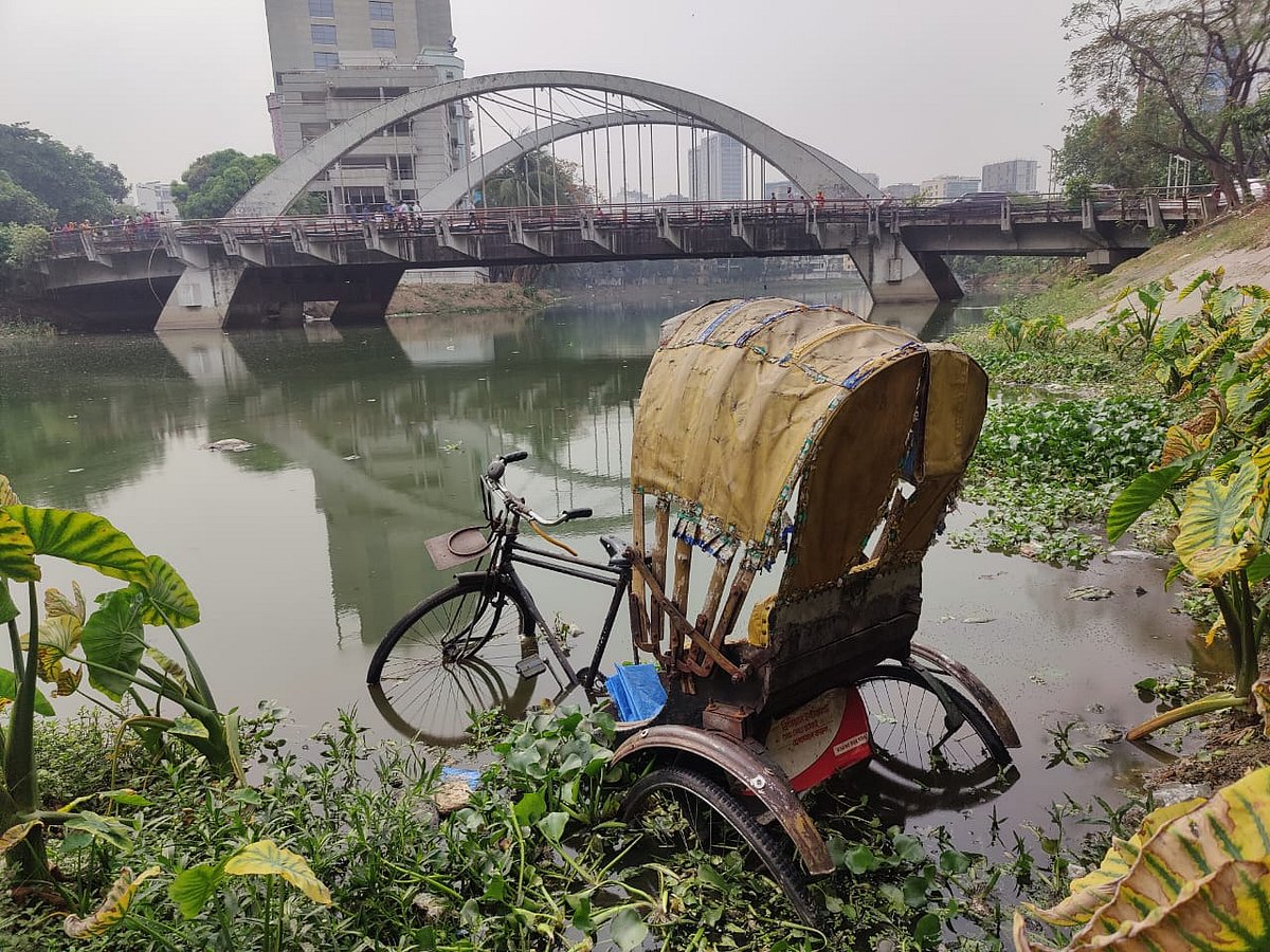 গুলশান লেকে ফেলে দেওয়া হয়েছে প্যাডেলচালিত রিকশা
