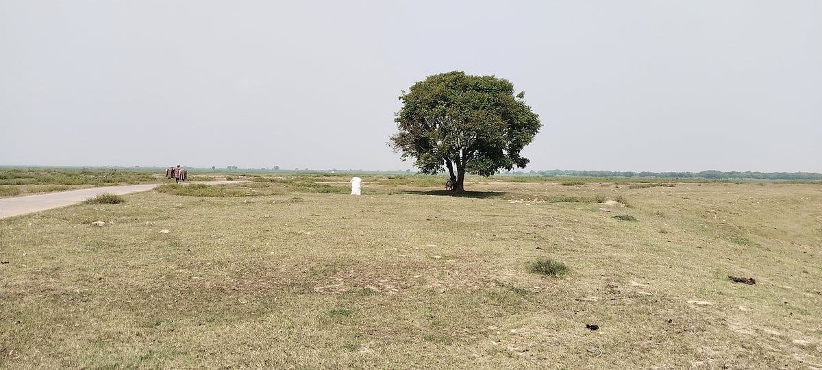 হাওর মানে অবারিত সৌন্দর্যের আধার। হবিগঞ্জের বানিয়াচং উপজেলায়