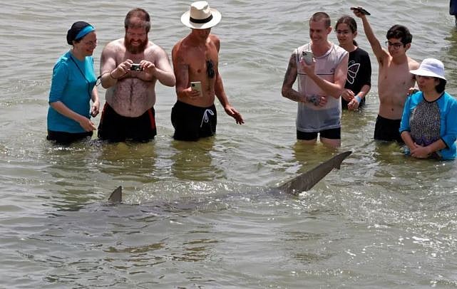 ইসরায়েলের হাদেরা শহরের সৈকতে ২০২১ সালে হাঙরের কাছাকাছি মানুষজনের উপস্থিতি দেখা যায়