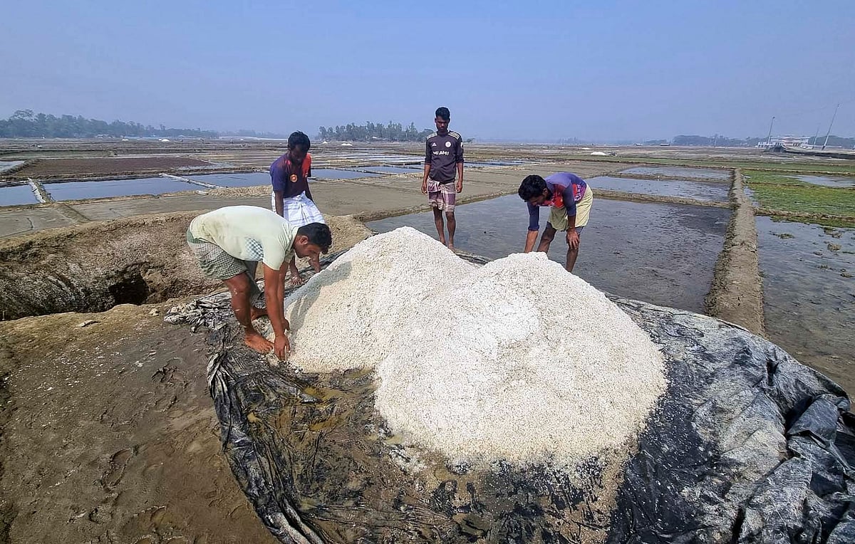 কক্সবাজারের সাগরদ্বীপ কুতুবদিয়ার লেমশীখালীর এই জমিতে ধানচাষ হতো। এখন লবণ ছাড়া কিছুই হয় না। সম্প্রতি তোলা