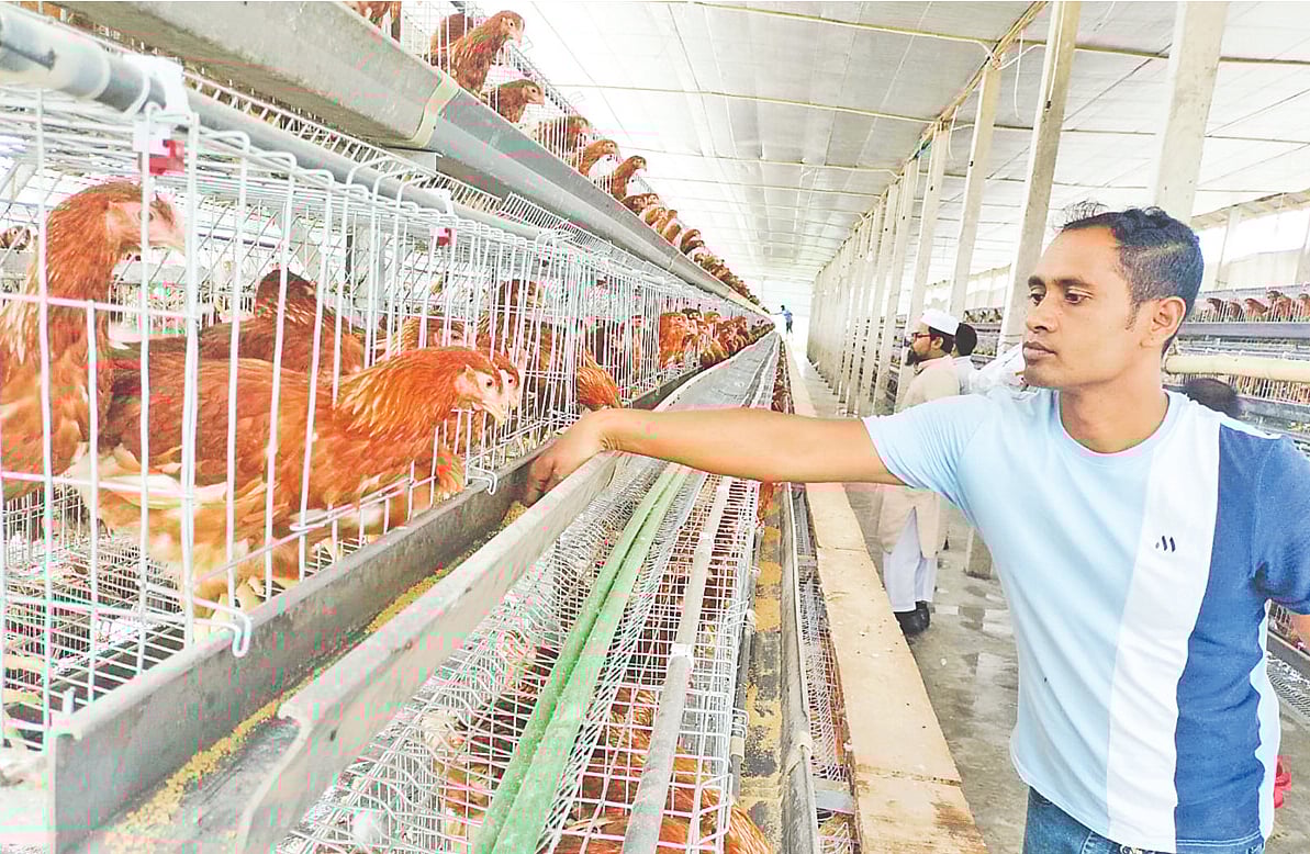 সফল খামারি হয়ে থেমে যাননি আরিফুল ইসলাম। তরুণ-যুবাদের পরামর্শ দিয়ে ‘উদ্যোক্তা তৈরির কারিগর’ হিসেবে পরিচিতি পেয়েছেন। সম্প্রতি রংপুরের তারাগঞ্জে