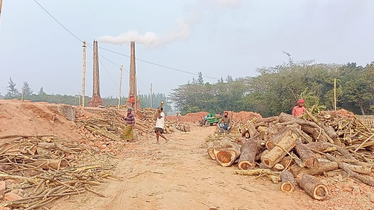লক্ষ্মীপুরের রামগতি উপজেলার চর রমিজ ইউনিয়নের চর আফজল গ্রামে ফসলি জমিতে গড়ে তোলা হয়েছে ইটভাটা। পাশেই লোকালয় ও শিক্ষাপ্রতিষ্ঠান। অবৈধ এসব ভাটায় পোড়ানো হচ্ছে কাঠ। গত শুক্রবার দুপুরে