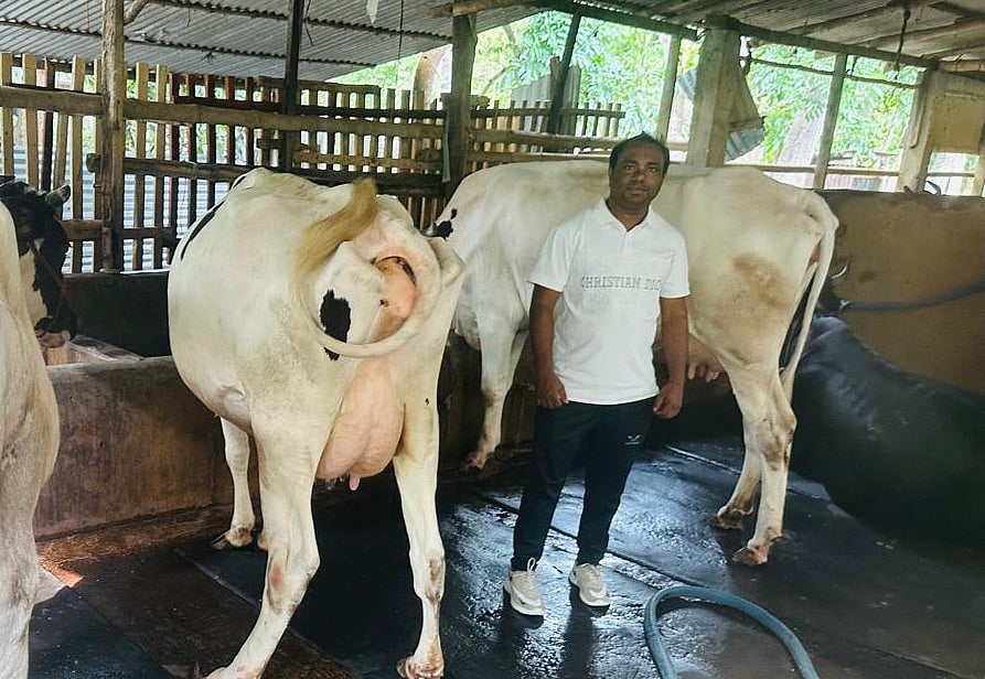 মো. গিয়াস উদ্দিন সফল উদ্যোক্তা হিসেবে টানা তিন বছর পুরস্কার পেয়েছেন। ছবিটি সম্প্রতি গোপালগঞ্জের কাশিয়ানী উপজেলার মহেশপুর ইউনিয়নের হোগলাকান্দি গ্রামে গিয়াস উদ্দিনের খামারে তোলা