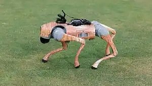 আইপিএলের ক্যামেরাওয়ালা রোবট কুকুর চম্পক